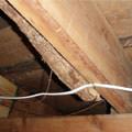 A repaired floor joist in a Simpsonville crawl space.