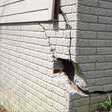 foundation walls cracked due to settlement in Atlanta