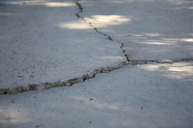 Cantey Foundation Specialists