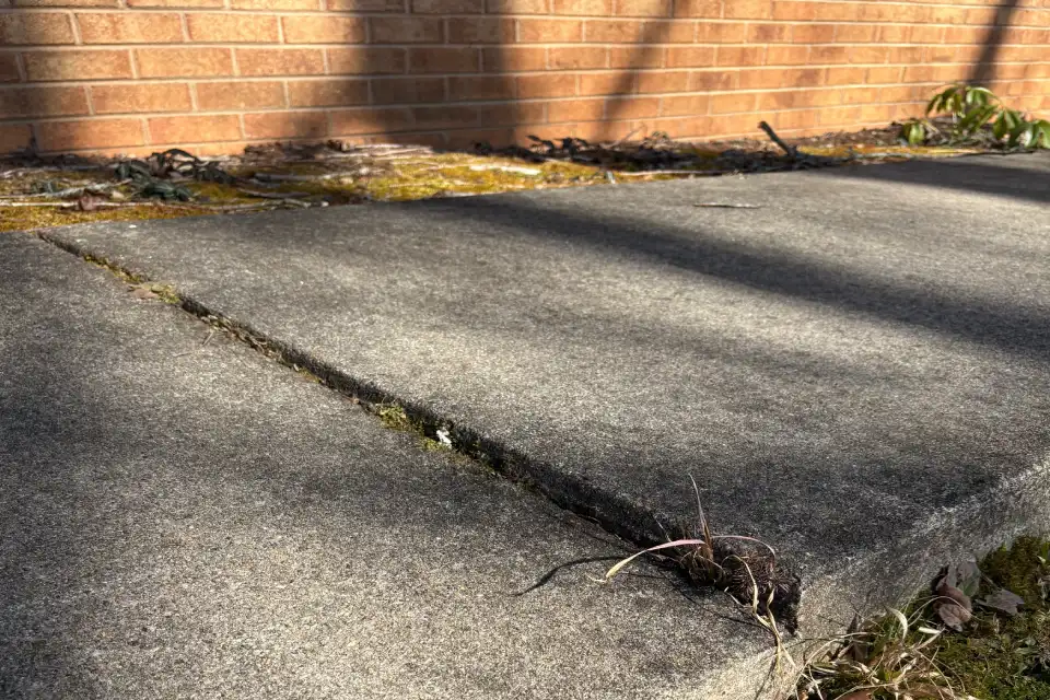 Cantey Foundation Specialists