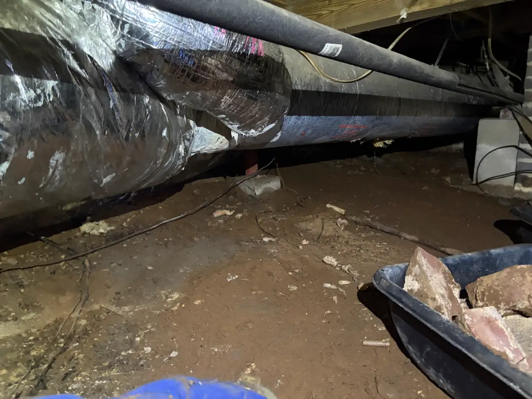 What Causes Must Odors in Crawl Spaces