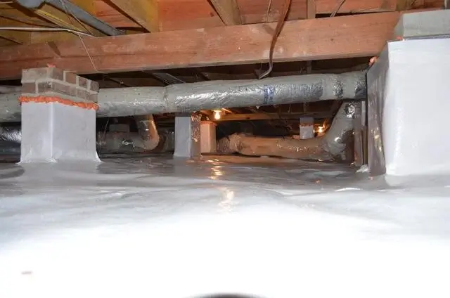 Musty Crawl Space