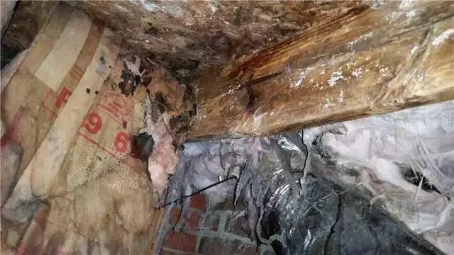 You can see mold, falling insulation and wood rot in the customer's crawl space.