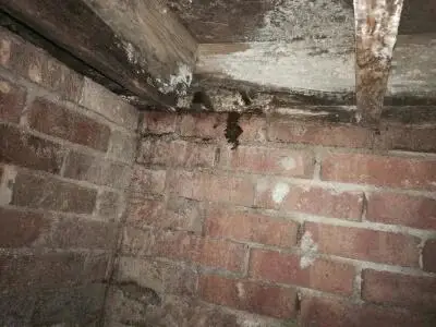 This is another view of the moisture and wood rot in the space.