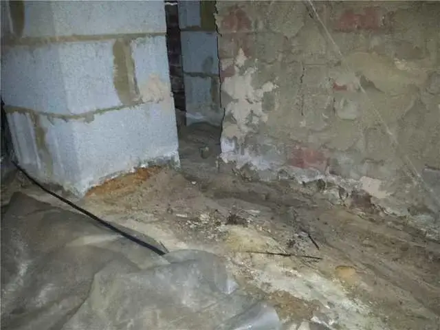 1440786696_645