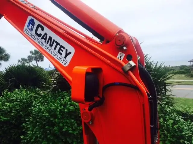 Cantey on the beach!