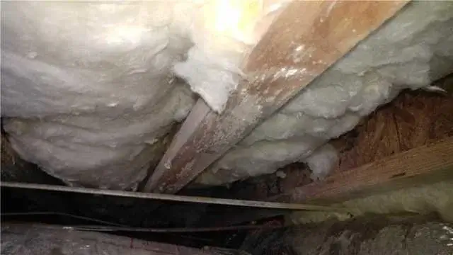 Here is an example of White Mold, which is just one type of mold that grows on wood beams under crawl spaces.