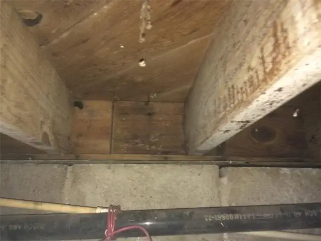 The beginning of White Mold growth in Patrice's crawl space because of stagnant water issues.