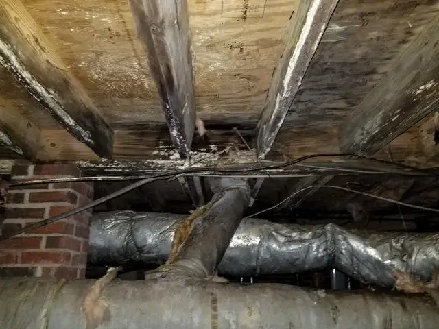 Mold begins to grow, causing a health hazard for James and Theresa.