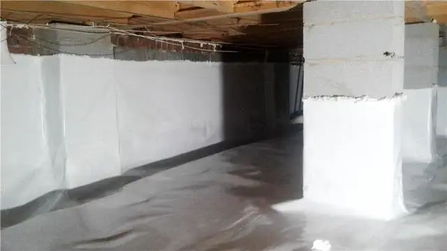 The final product looks clean and healthier than before, providing peace of mind to a happy homeowner.