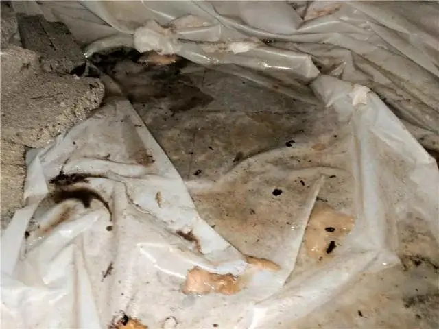 Plastic was originally laid to help keep excess moisture from damaging the crawl space but often this solution does little to help.