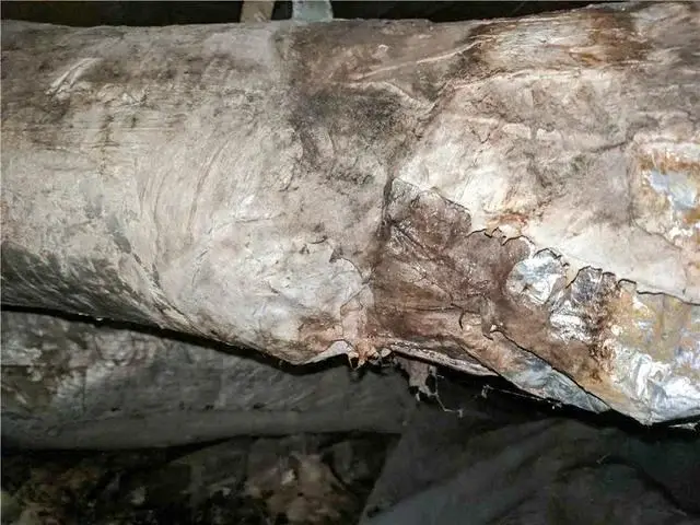 The mold in the air conditioning vents was caused by the mold that was growing in their crawl space.