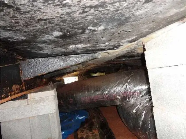 Moisture levels were high when System Design Specialist Grant initially took readings going into the crawl space.