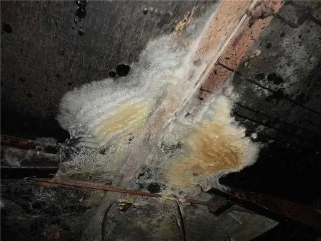 Mold like this can not only cause structural damage to a home but is also a health hazard for homeowners.