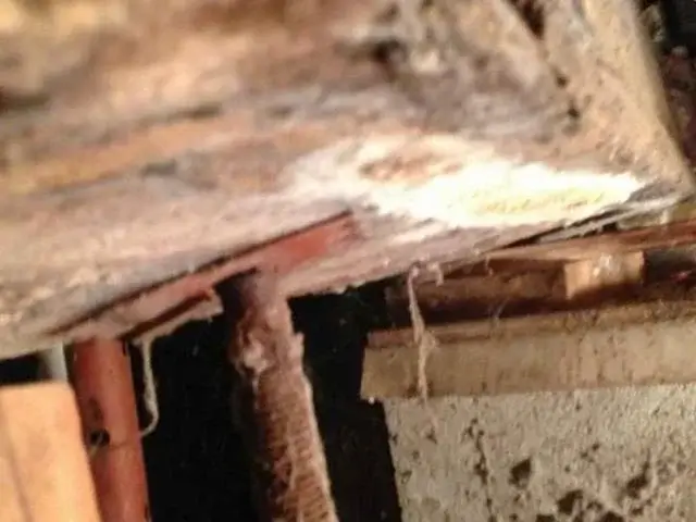 The beams under the home needed stronger support than store bought jacks that were only a temporary fix.