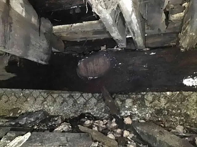 Apparent wood-rot from crawl space of beams and joists.