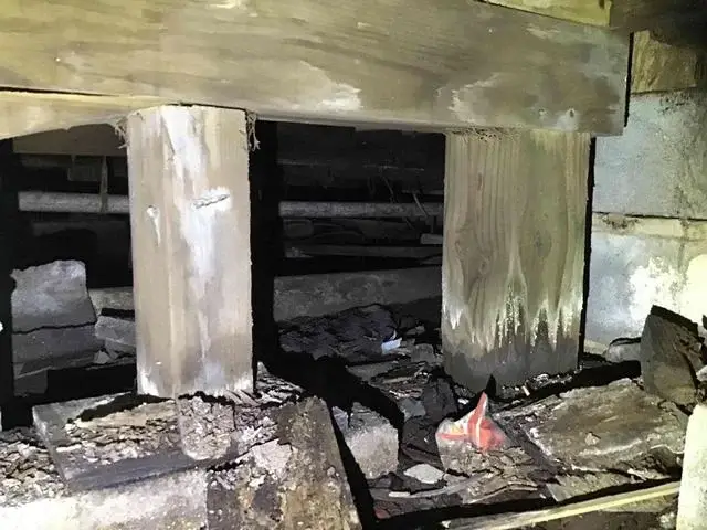 Apparent wood-rot from crawl space of beams and joists.